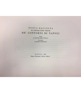 Nuova raccolta di ventiquattro vedute de' contorni di Napoli
