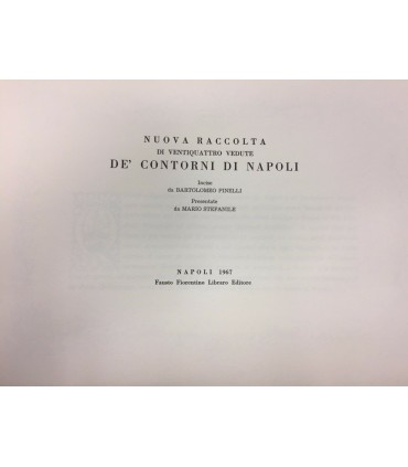Nuova raccolta di ventiquattro vedute de' contorni di Napoli