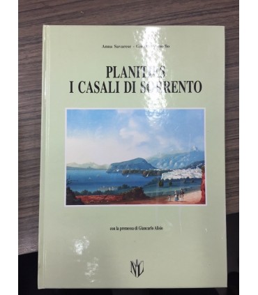 Planities I casali di Sorrento