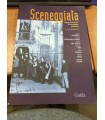 Sceneggiata. Rappresentazioni di un genere popolare