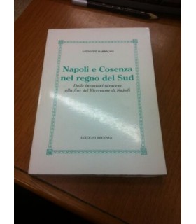 Napoli e Cosenza nel regno del Sud
