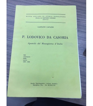 P. Lodovico da Casoria. Apostolo del Mezzogiorno d'Italia