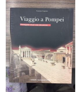 Viaggio a Pompei. Passeggiate virtuali nelle città perdute