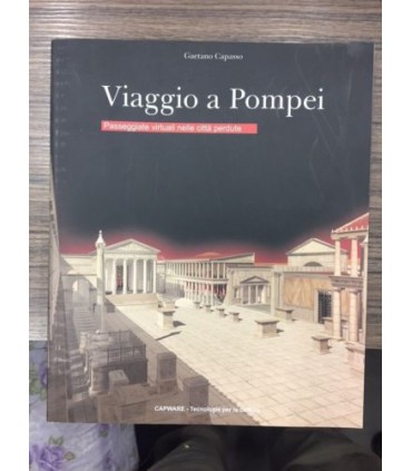 Viaggio a Pompei. Passeggiate virtuali nelle città perdute