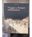 Viaggio a Pompei. Passeggiate virtuali nelle città perdute