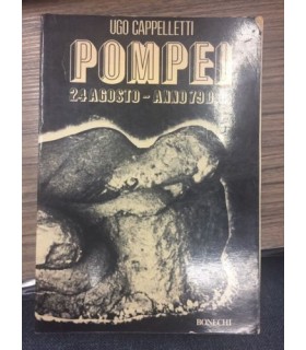 Pompei 24 agosto - Anno 79 D.C