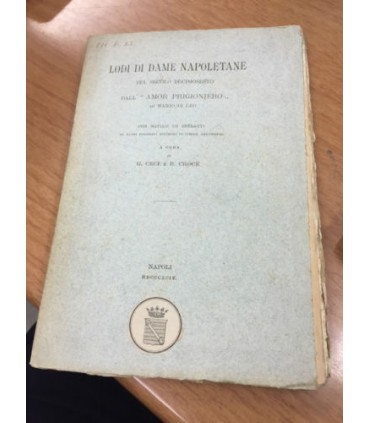 Lodi di dame napoletane del secolo decimosesto dall' "amor prigioniero" di Mario Di Leo