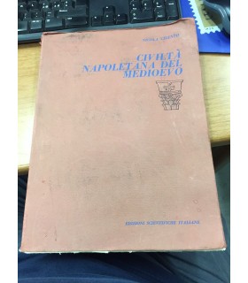 Civiltà napoletana del medioevo nei secoli VI-XIII