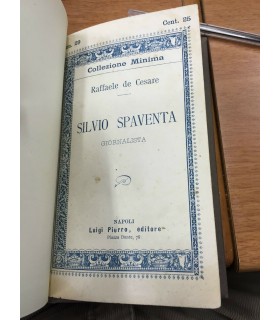 Silvio Spaventa. Giornalista