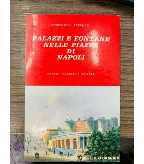 Palazzi e fontane nelle piazze di Napoli