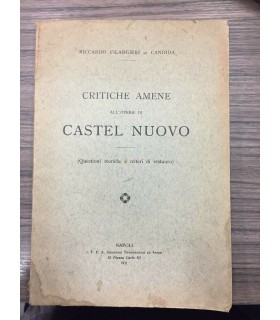 Critiche amene all'opera di Castel Nuovo