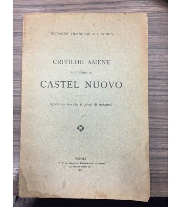 Critiche amene all'opera di Castel Nuovo