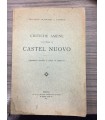 Critiche amene all'opera di Castel Nuovo