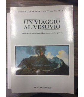 Un viaggio al Vesuvio