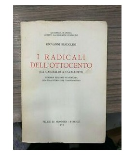 I radicali dell'ottocento