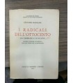 I radicali dell'ottocento