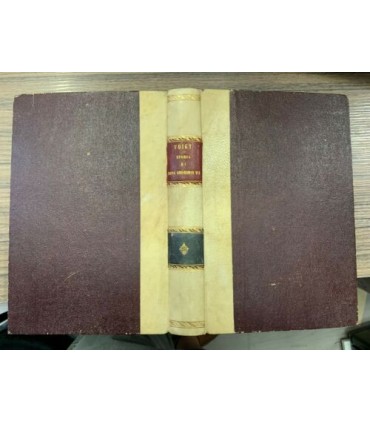 Storia di Papa Gregorio VII e de' suoi contemporanei
