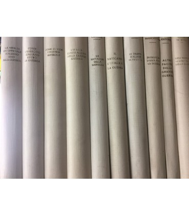 L'armata del Trentino. 1915-1919