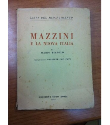Mazzini e la nuova Italia