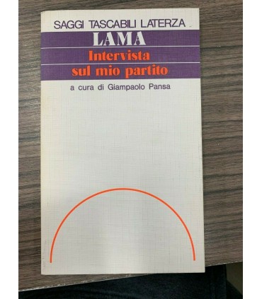 Intervista sul mio partito