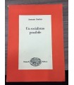 Un socialismo possibile