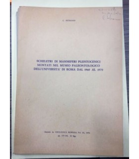 Scheletri di mammoferi pleistocenici montati nel museo paleontologico dell'Università di Roma dal 1960 al 1970