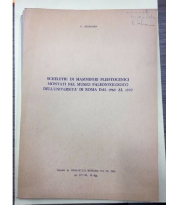 Scheletri di mammoferi pleistocenici montati nel museo paleontologico dell'Università di Roma dal 1960 al 1970