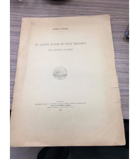 Su alcuni avanzi di pesci triassici nella provincia di Salerno