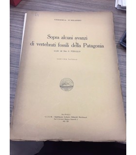 Sopra alcuni avanzi di vertebrati fossili della Patagonia