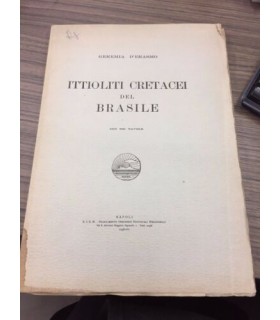 Ittioliti cretacei del Brasile