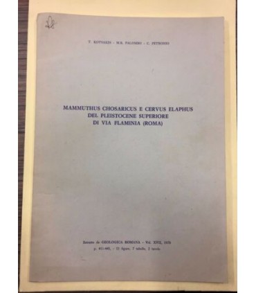 Mammuthus chosaricus e cervus elaphus del pleistocene superiore di Via Flaminia