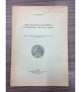 Nuovi ritrovamenti di resti elefantini nel Villafranchiano della Conca aquilana