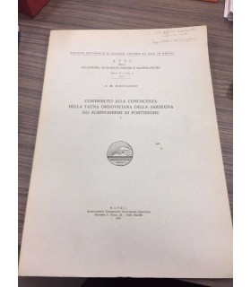 Contributo alla conoscenza della fauna ordovicina della Sardegna gli echinodermi di portixeddu. I
