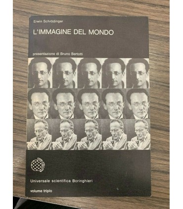 L'immagine del mondo