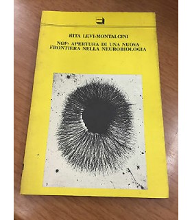 NGF: apertura di una nuova frontiera nella neurobiologia