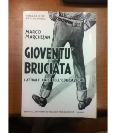 Gioventù bruciata. L'attuale crisi dell'educazione