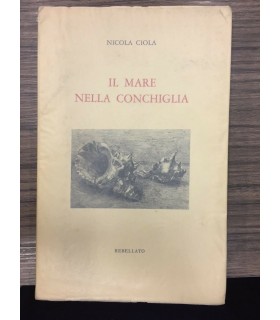 Il mare nella conchiglia