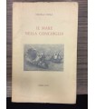 Il mare nella conchiglia