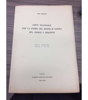 Fonti spagnuole per la storia del Regno di Napoli del cinque e seicento