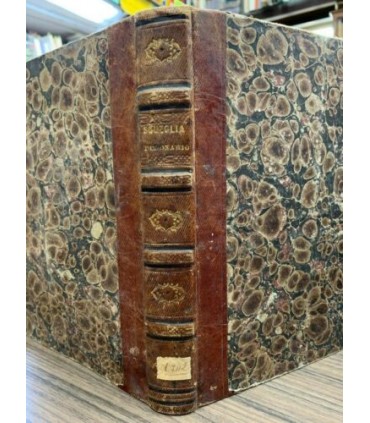 Dizionario compendiato di terapeutica ossia esposizione de' mezzi curativi