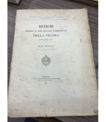 Ricerche intorno al seno cutaneo interdigitale della Pecora. (Ovis Aries