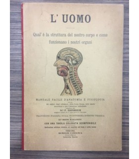 L'uomo. Qual è la struttura del nostro corpo e come funzionano i nostri organi