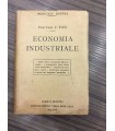 Economia industriale