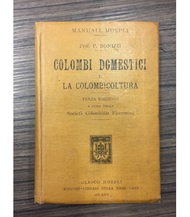 Colombi domestici e la colomicoltura