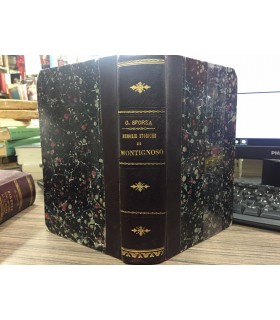 Memorie storiche di Montignoso