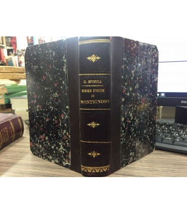 Memorie storiche di Montignoso