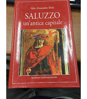 Salluzzo un'antica capitale