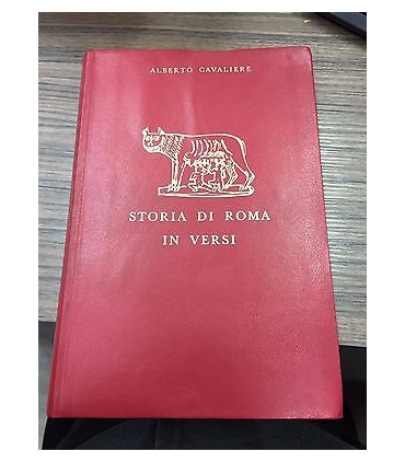 Storia di Roma in versi