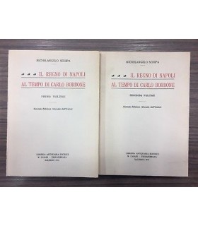 Il Regno di Napoli al tempo di Carlo di Borbone
