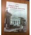 Pompei, Capri e la Penisola sorrentina